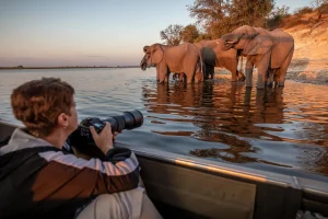 boat safari on the Chobe River